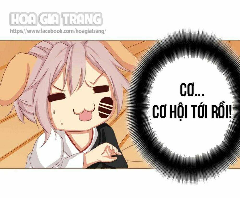 đế quân không biết yêu chapter 4 16