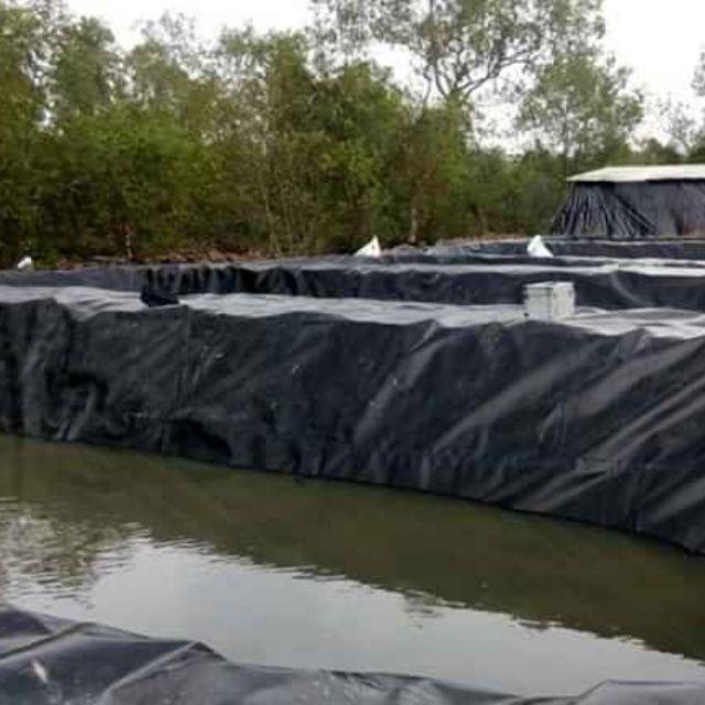 Bạt lót hồ, bạt lót hồ nuôi tôm cá bằng màng HDPE dày 0.5mm