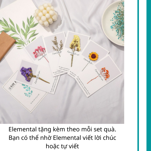 [Quà tặng cao cấp-Thương hiệu Mỹ] Bình giữ nhiệt cao cấp Elemental, set hộp quà Hướng Dương, quà tặng dành cho bạn bè