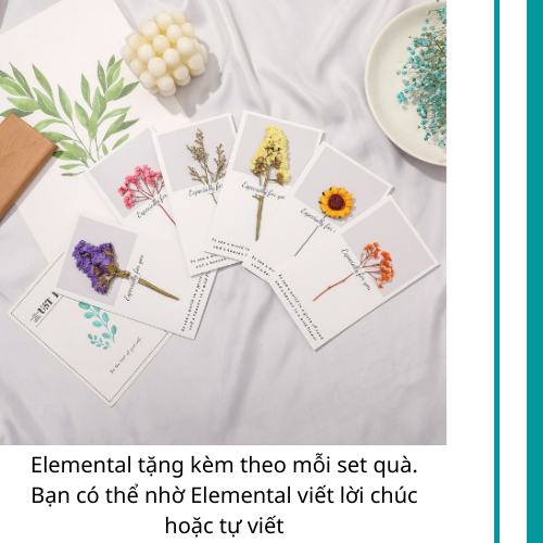 Set hộp quà tặng Sinh nhật, set Thanh Xuân, bình giữ nhiệt và ly giữ nhiệt Elemental cao cấp