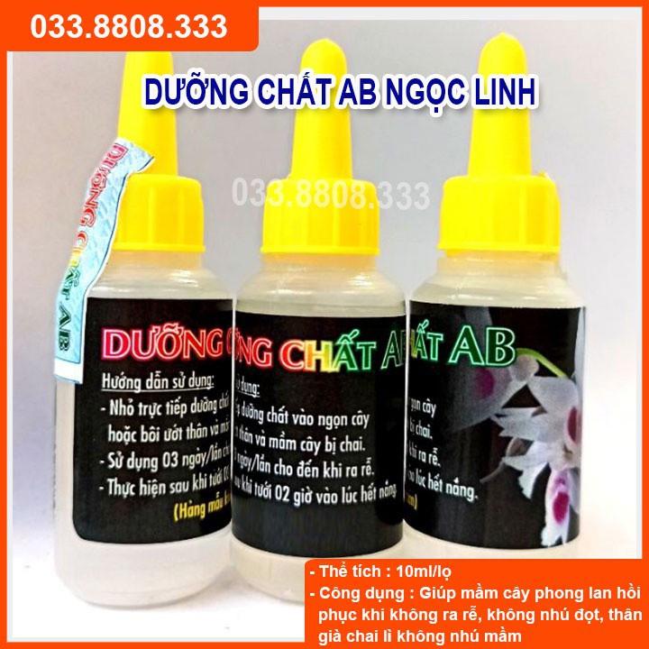 Dưỡng Chất AB Giúp Phục Hồi Mầm Gốc, Kích thích Ra Rễ, Nuôi Dưỡng Mầm Hoa