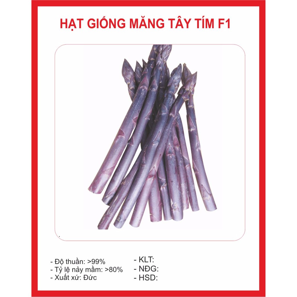 Hạt giống măng tây tím