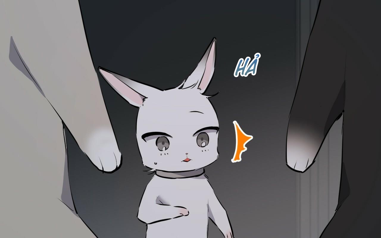 đàn thỏ của habibi chapter 46 105