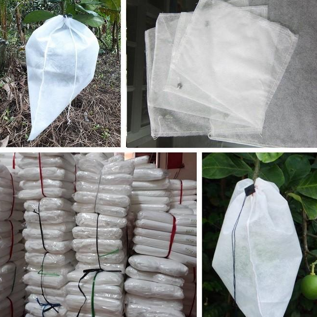 Combo 100 Túi Bọc Bưởi 30x30cm