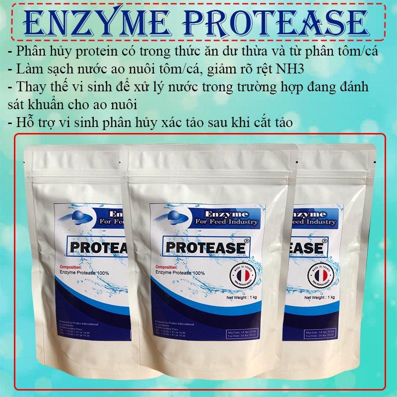 ENZYME PROTEASE Nguyên Liệu # Gói 1kg .
