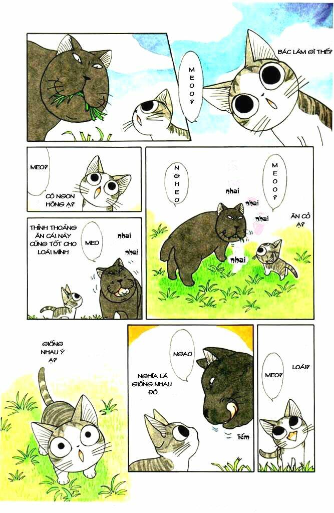 chi's sweet home chapter 34 3