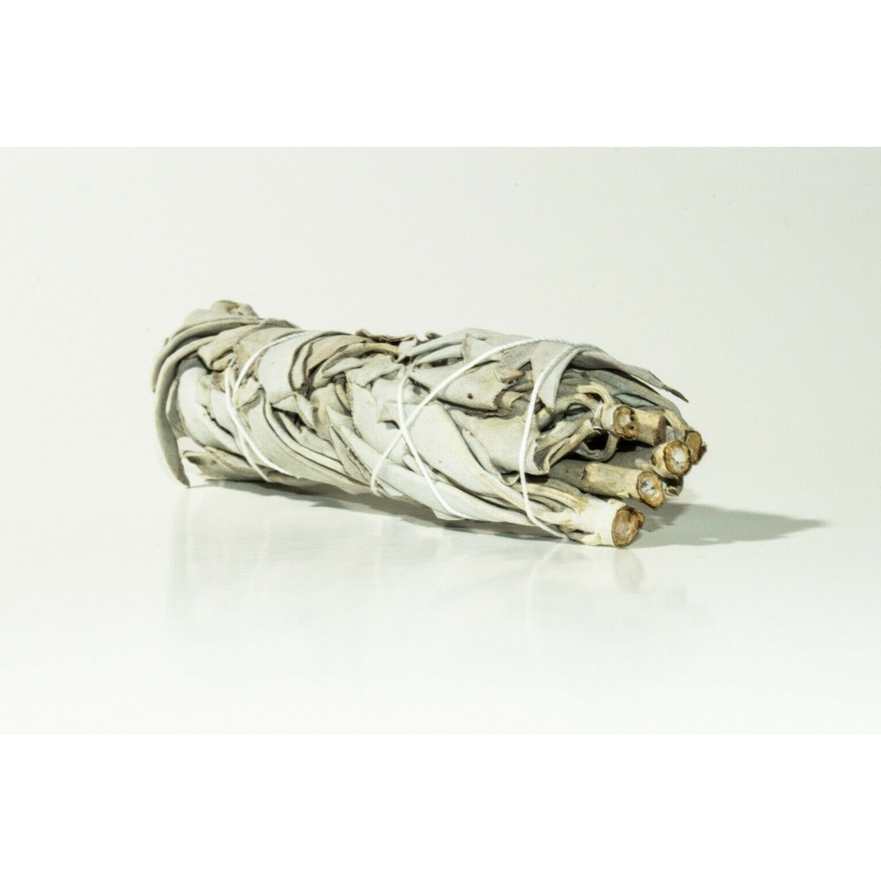 Lá xô thơm (white sage hay sage trắng)