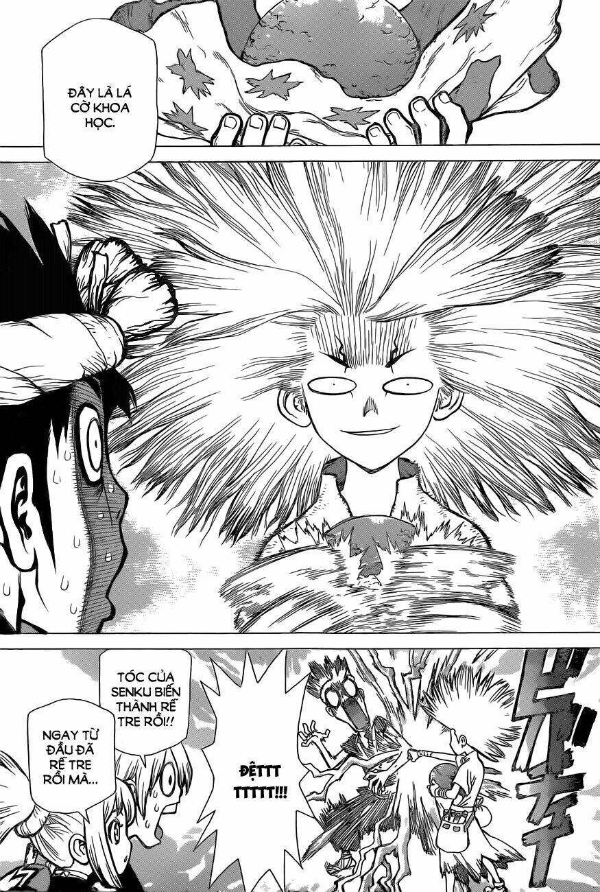 dr.stone - hồi sinh thế giới chapter 18 13