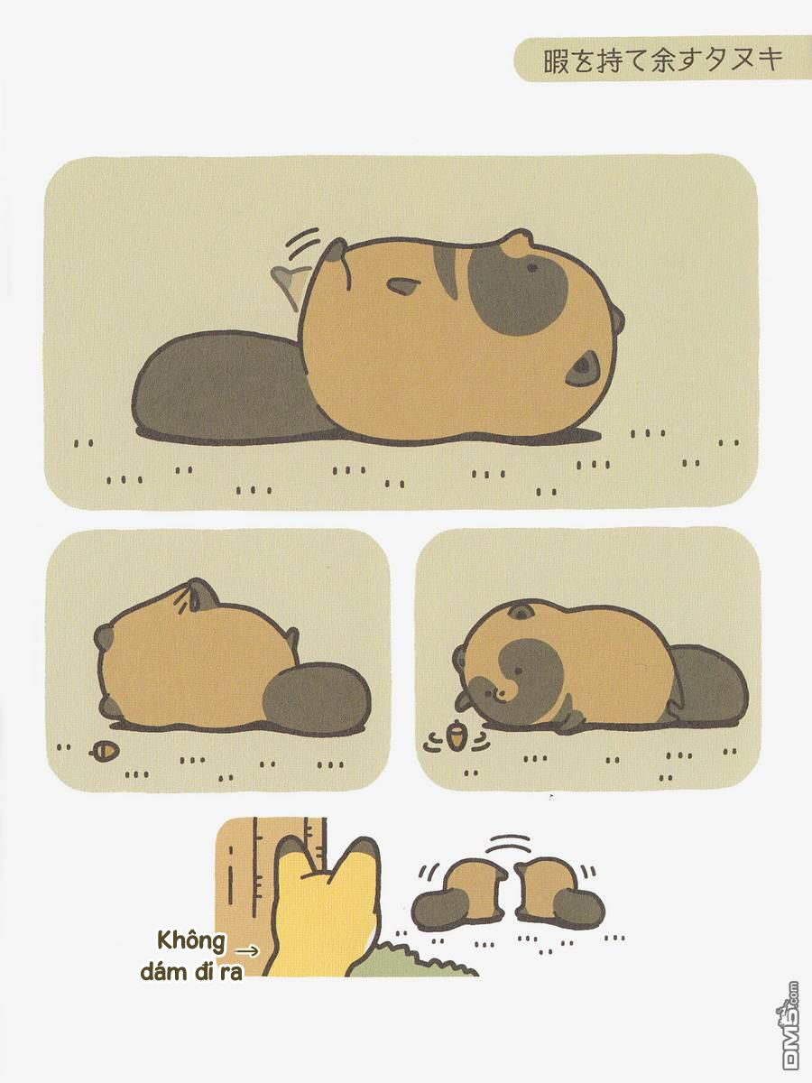 cáo và gấu mèo chapter 2 10