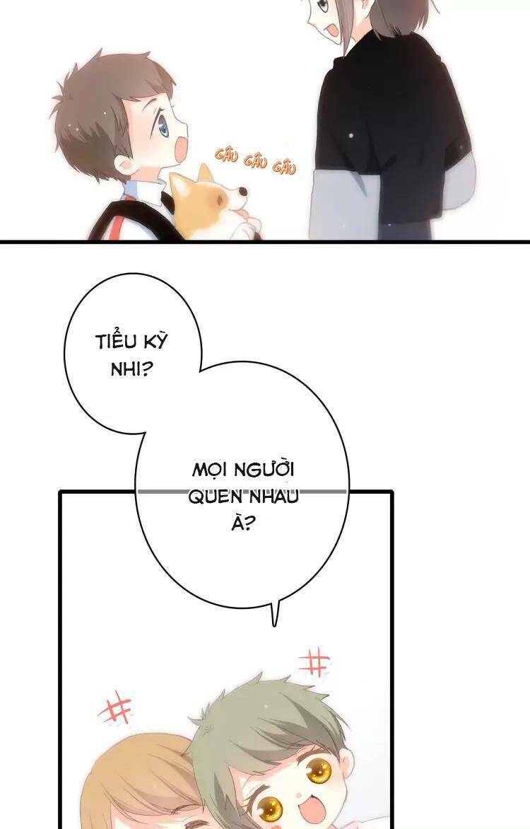 con tim rung động 3 chapter 59.1 34