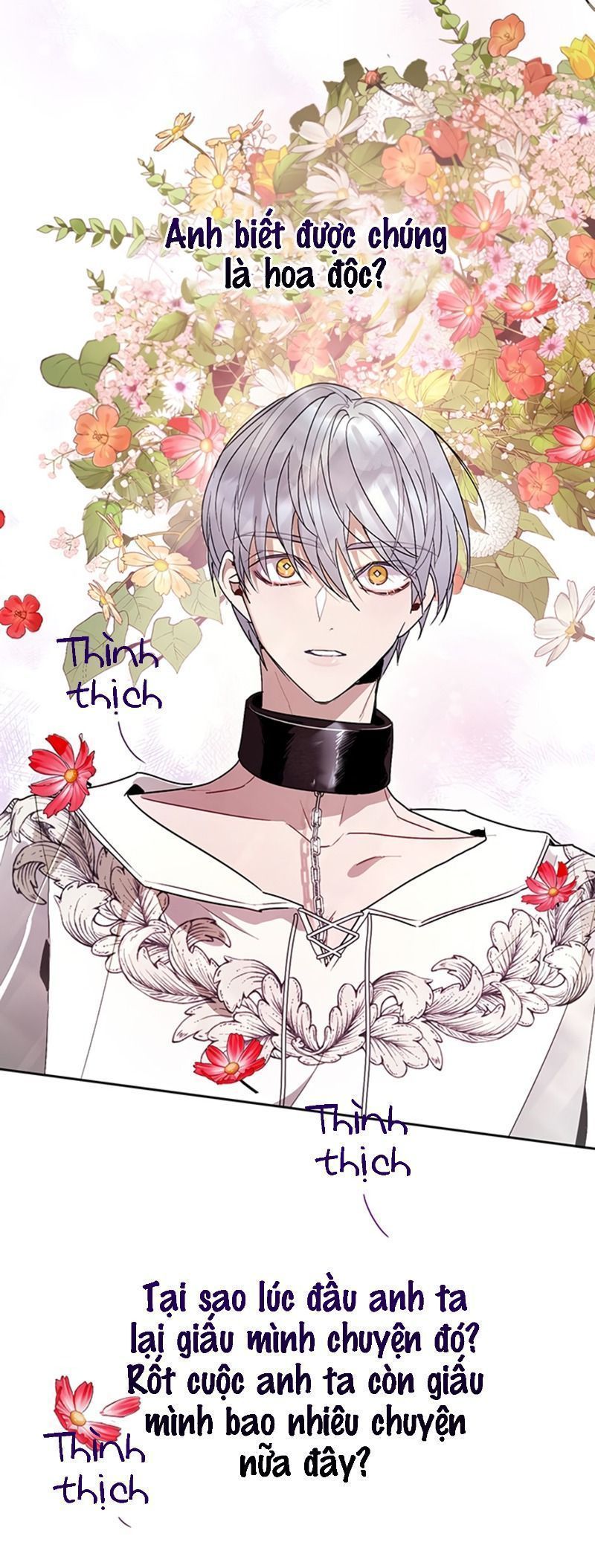 cách để cứu rỗi anh trai của nữ chính chapter 20 19