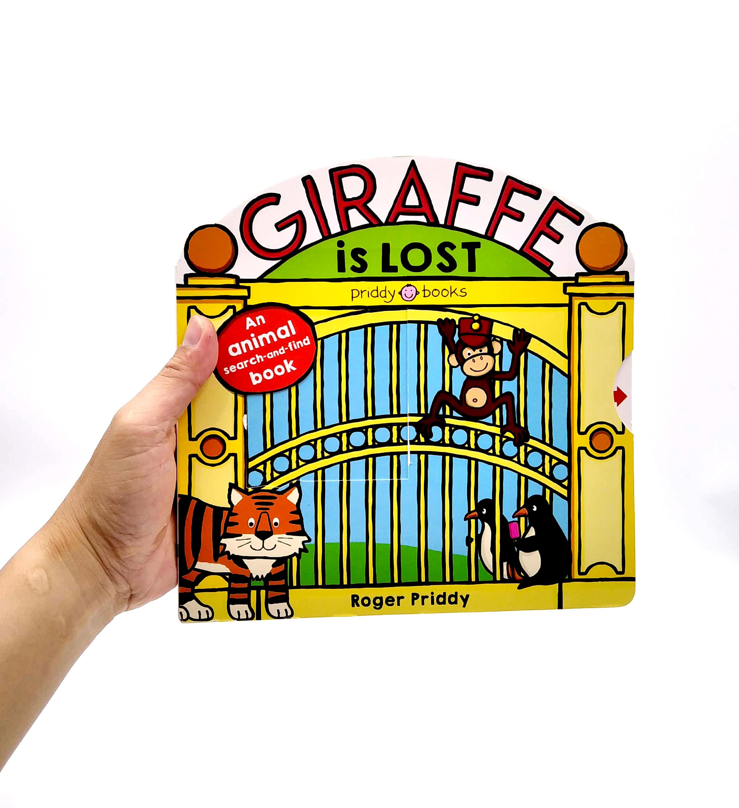 Giraffe Is Lost: An Animal Search-And-Find Book