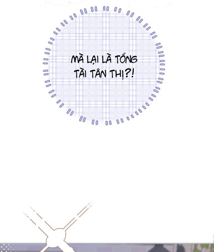 tổng tài bá đạo, đầu óc anh ấy có vấn đề chapter 3 77