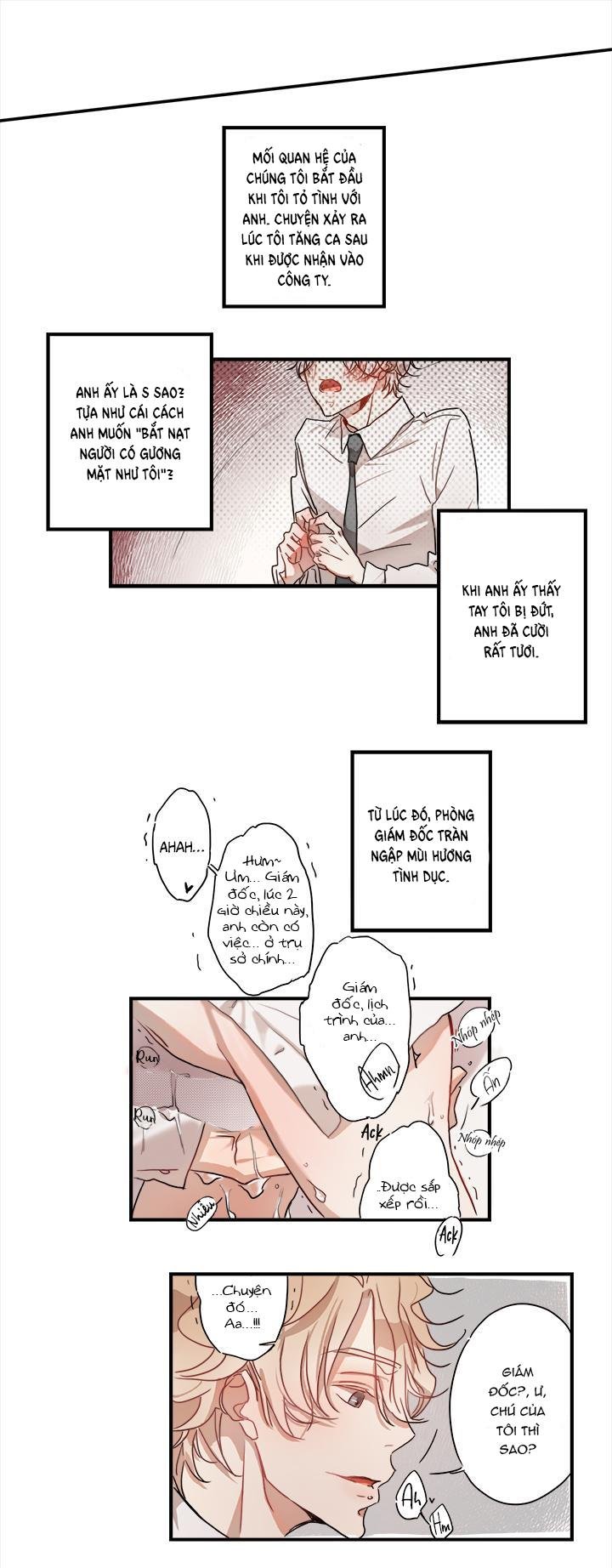 này thỏ ơi chapter 1 9