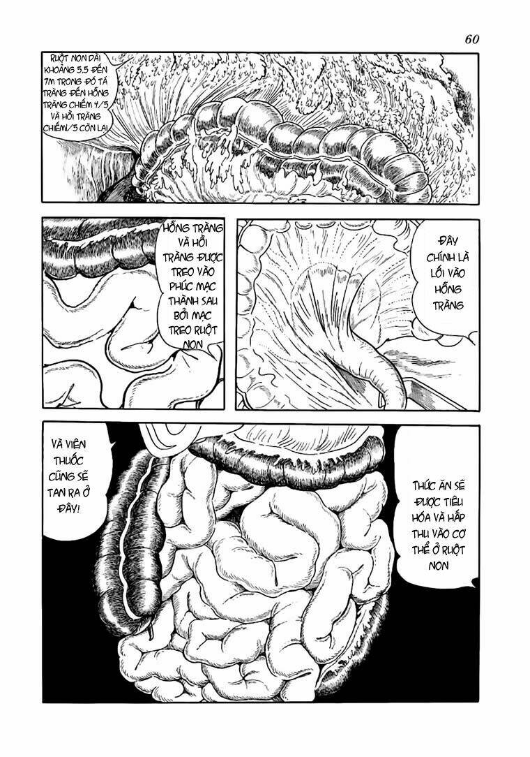 bác sĩ quái dị chapter 52 10