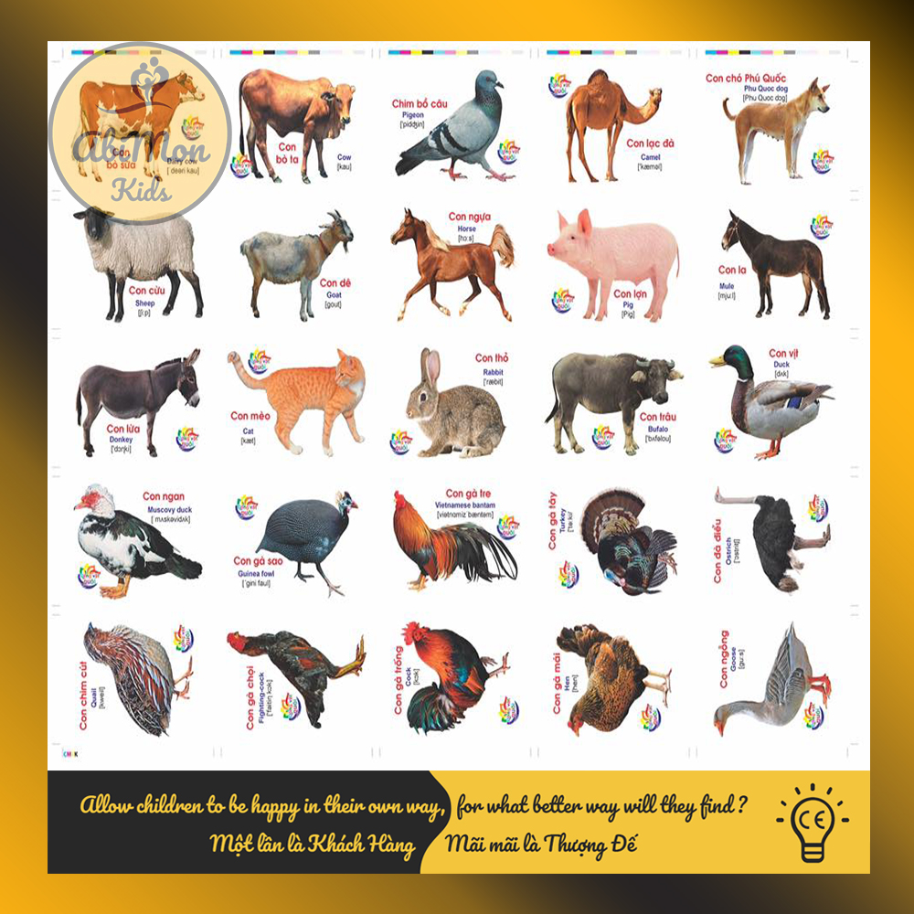 Bộ Thẻ Flashcards 16 Chủ Đề - Học Tiếng Anh Cho Bé || Montessori cao cấp || Đồ chơi Gỗ - Giáo dục - An toàn - Thông minh