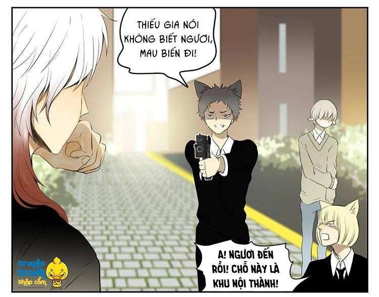 cứu mạng ! loài mèo thống trị thế giới rồi ! chapter 28 8