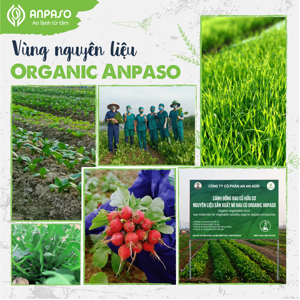 Mì Rau Củ Ăn Dặm Mầm Lúa Mạch Organic Anpaso 120g