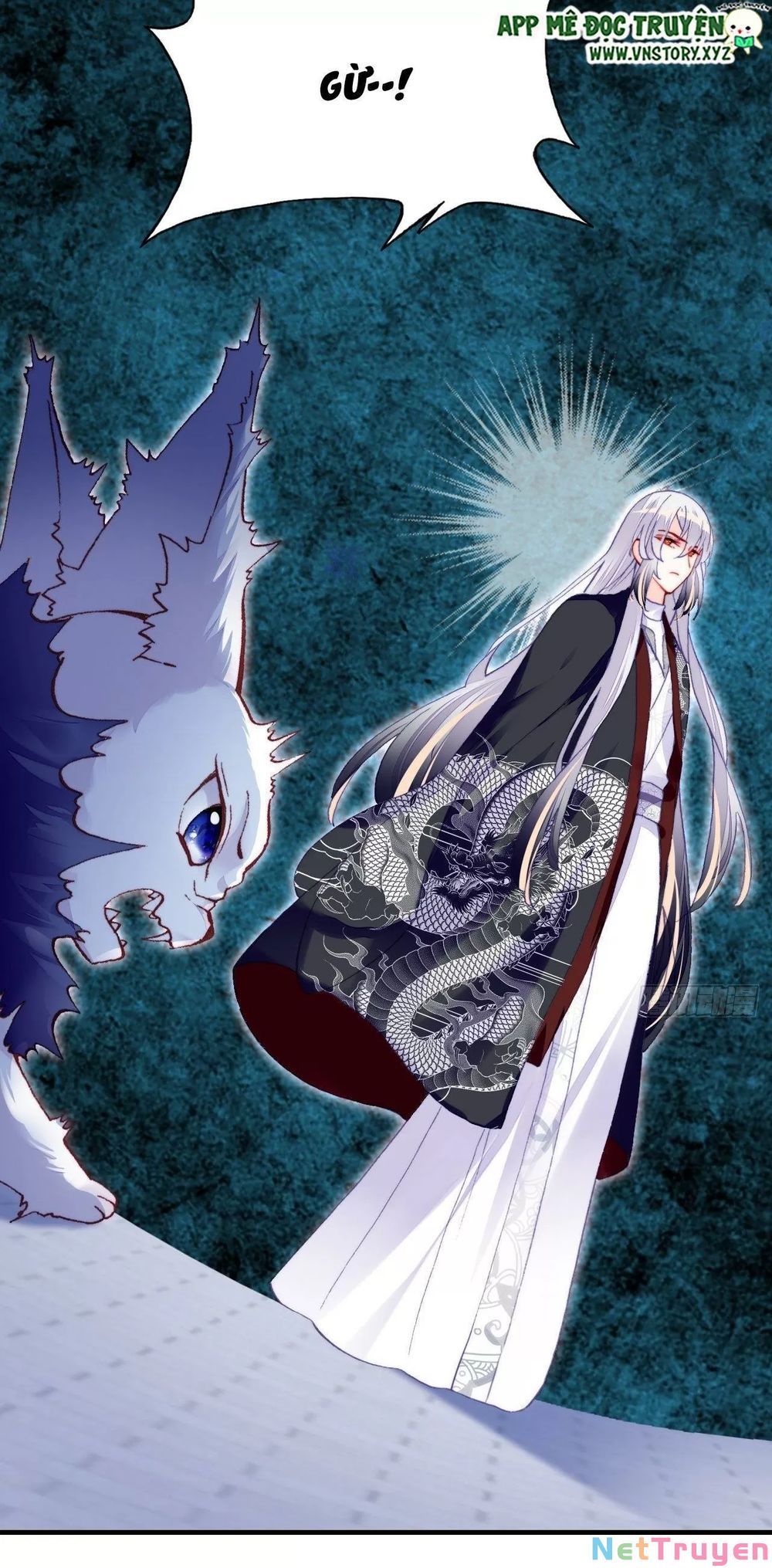 lại bị bệnh chiều chuộng quấn lấy chapter 51 22