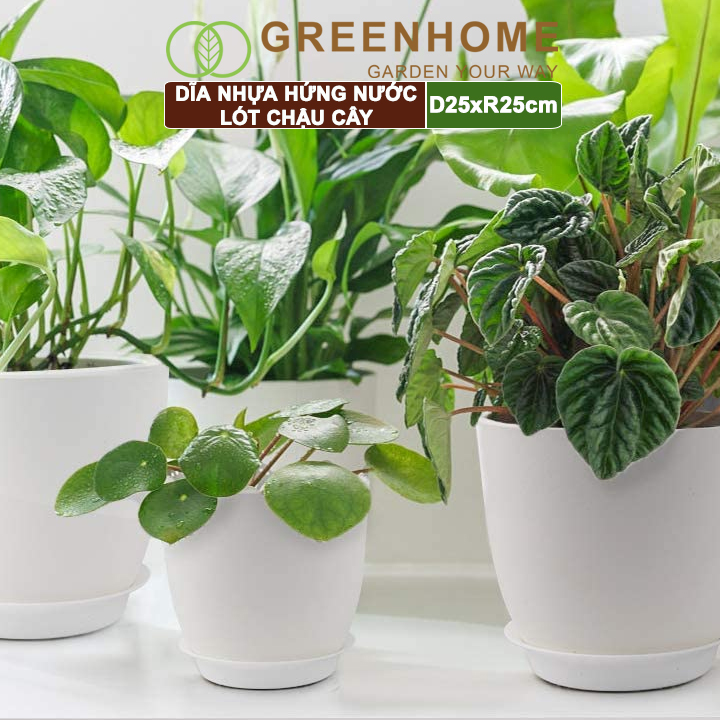 Dĩa nhựa lót chậu cây, nhựa nguyên sinh, bền, đẹp | Greenhome