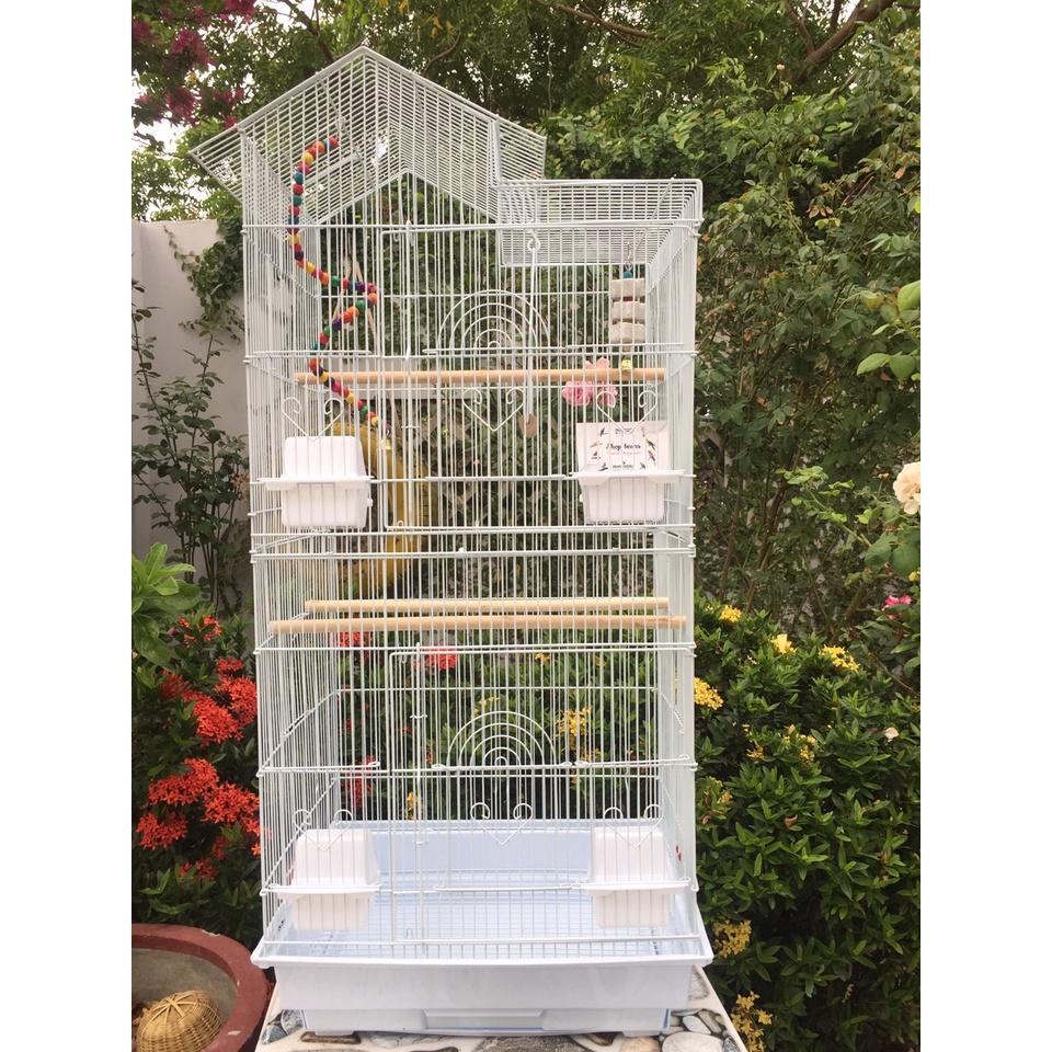 Lồng nuôi vẹt lovebird , cockatiel , greencheek , sun , ngực hồng , monk ..