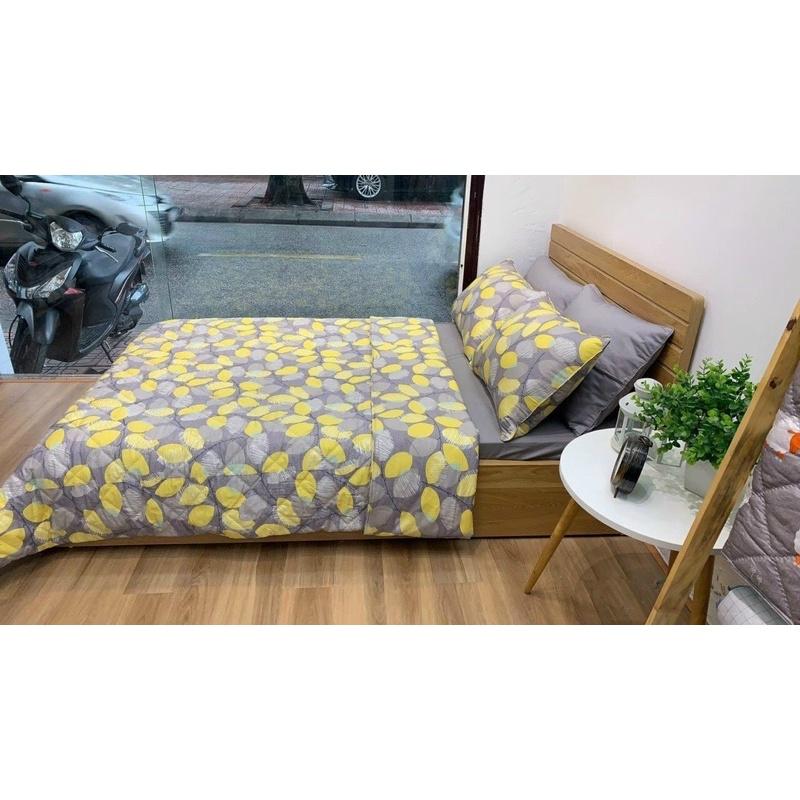 Bộ ga gối Cotton 100% Lụa Hàn Quốc cao cấp, ga chun đủ size đệm 2m*2m2 sẵn tại Sam-store