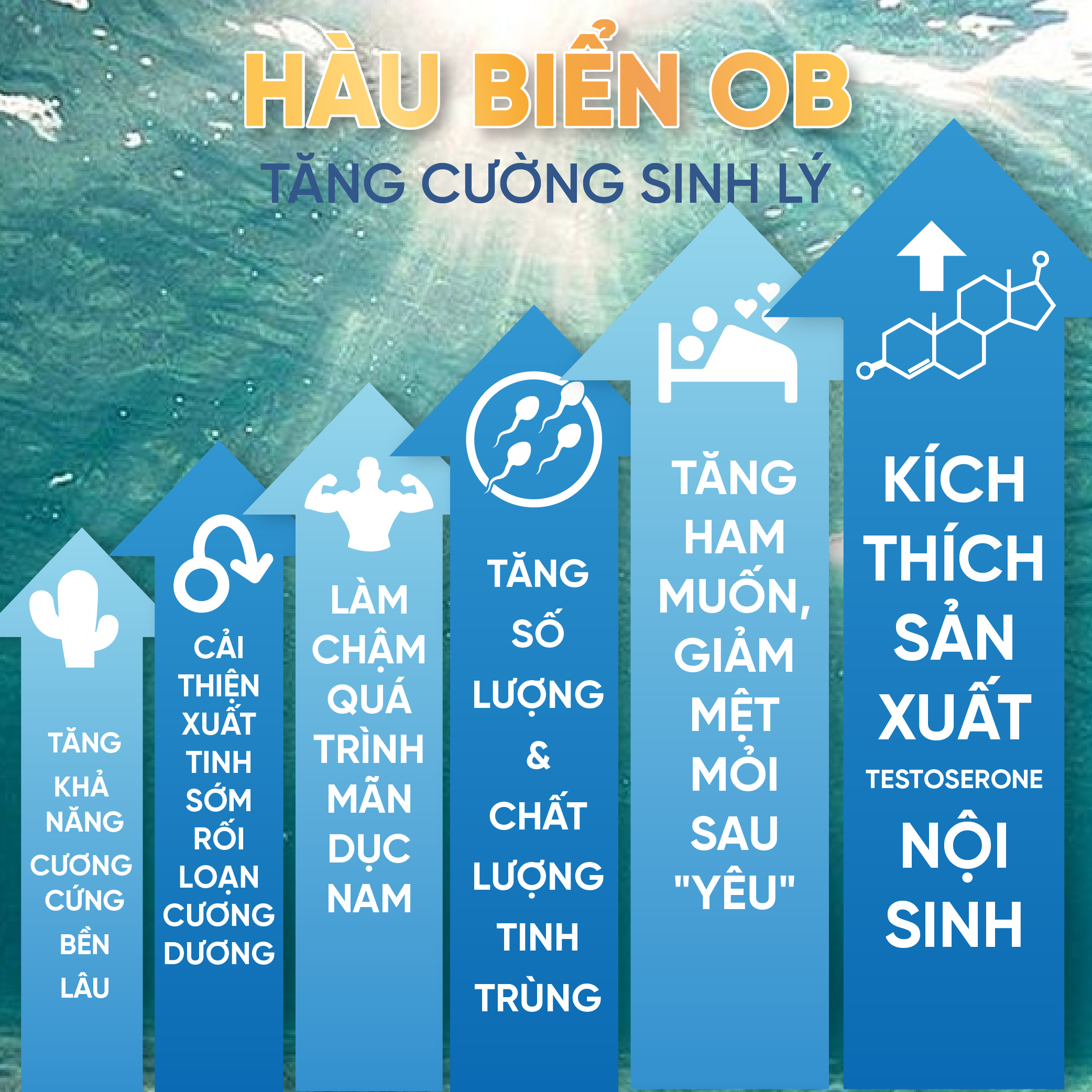 Viên uống Tinh Chất Hàu biển OB - Tăng cường sinh lý nam, Bổ Thận, Tăng Chất Lượng Tinh Trùng, hộp 30v