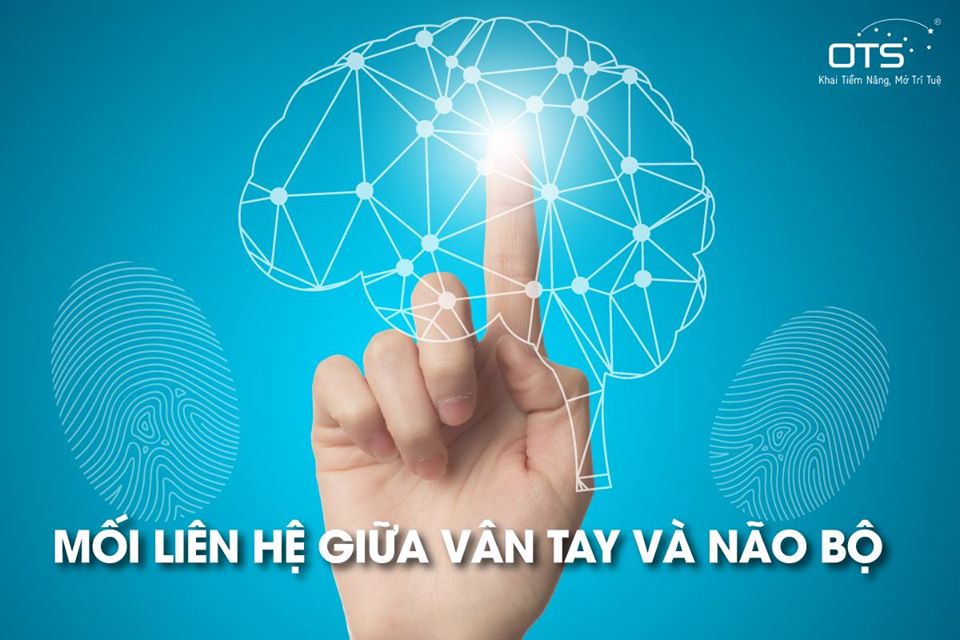 Sinh trắc vân tay cho bé - OTS - Chính xác đến 95%