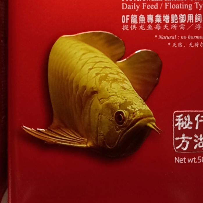 Thức ăn cao cấp tăng màu cho các loại cá rồng của singapore