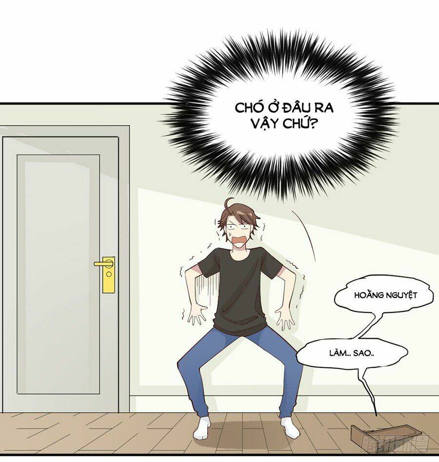 nguyệt lão không cho phép tôi yêu đương chapter 3 36