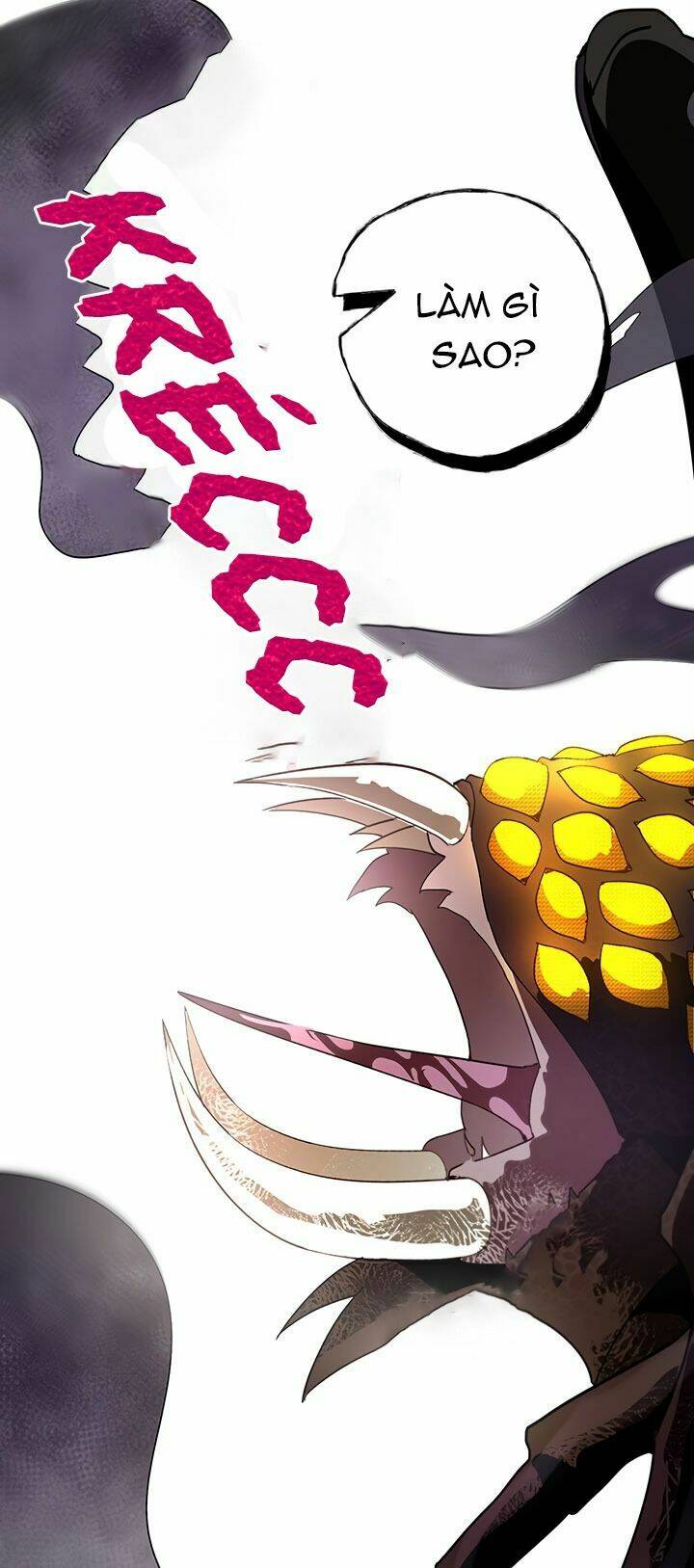 cách bảo vệ anh trai của nữ chính chapter 15 53