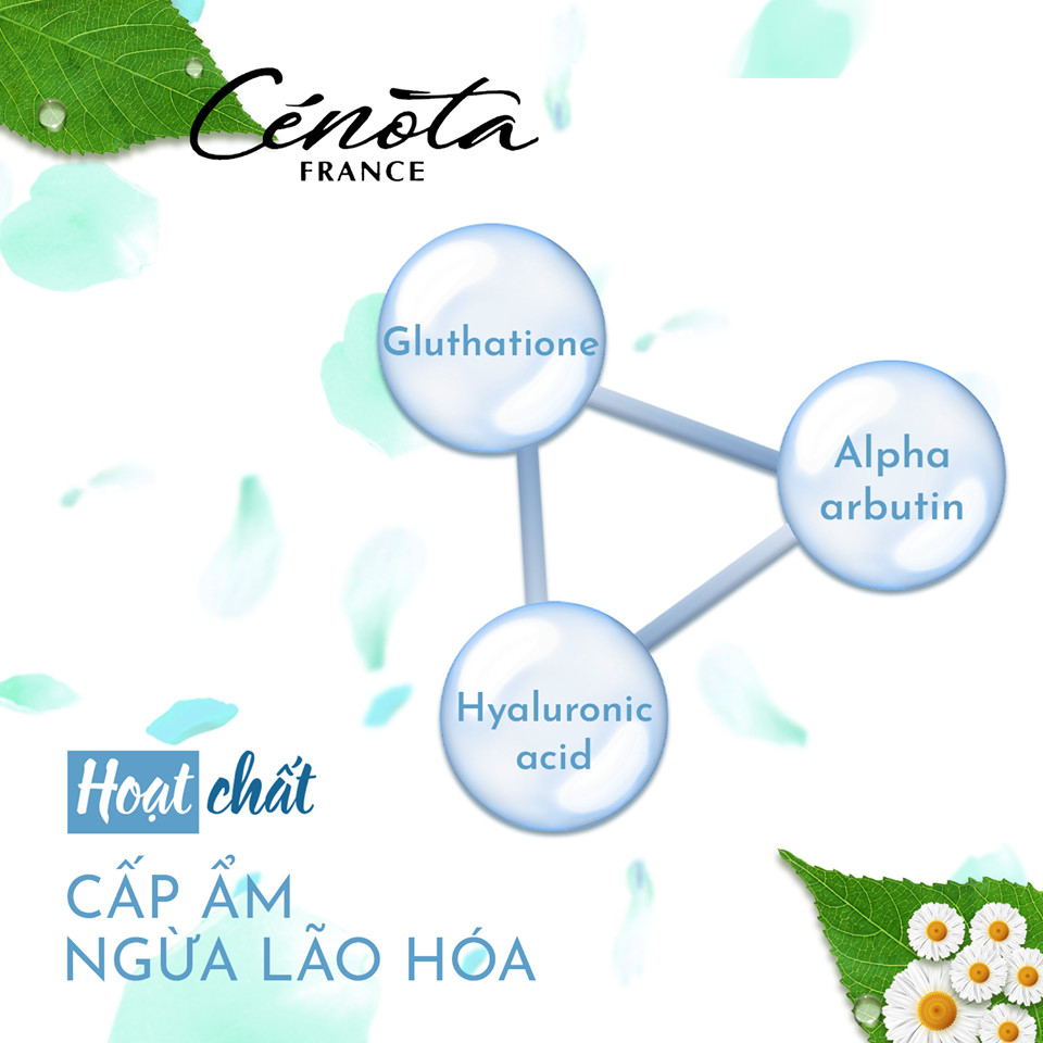 Mặt nạ trắng da Nâng cơ Tạo hình Vline Cenota Whitening Beauty Mask