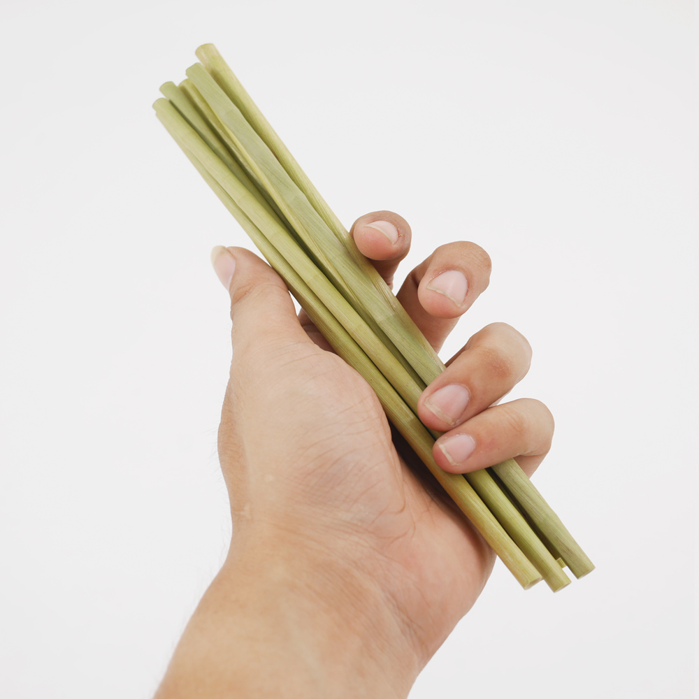 Hộp 50 Ống Hút Cỏ Bàng Grass Straws