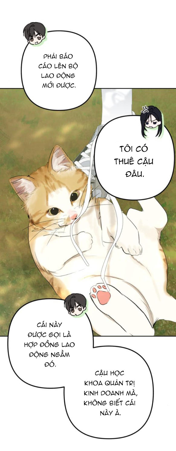 bóng râm mùa xuân chapter 4.1 41