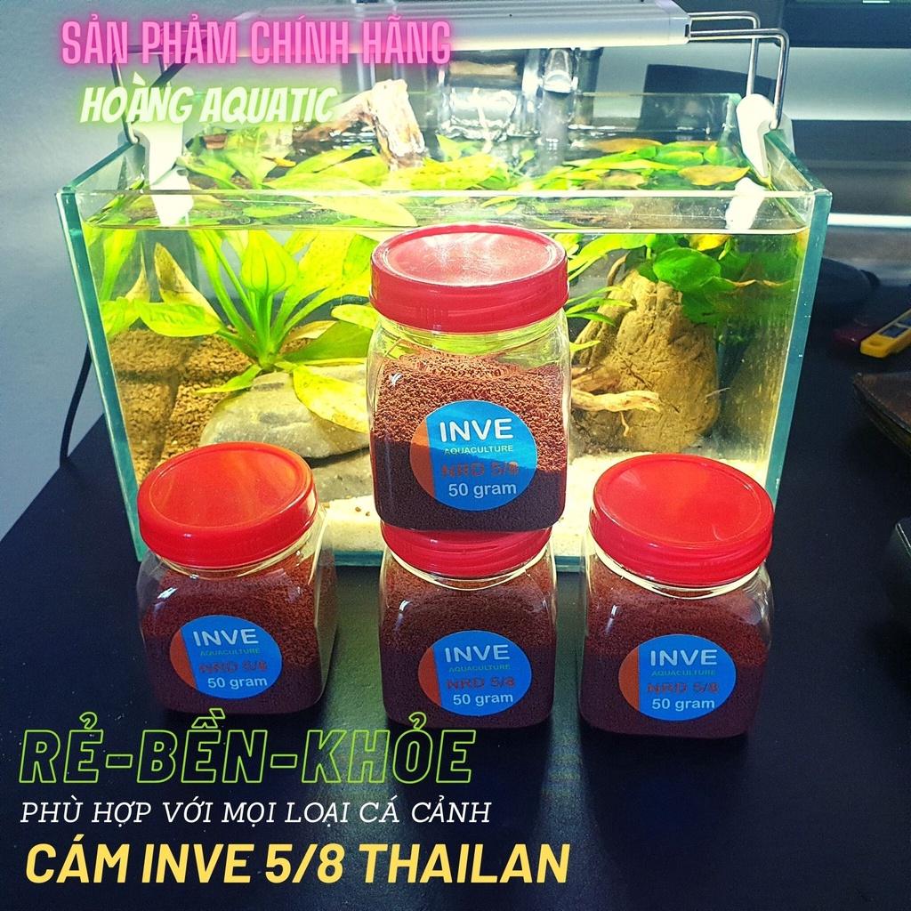 THỨC ĂN CÁ CÁM THÁI INVE CAO CẤP Cho Cá Beta, Guppy, Vàng,...