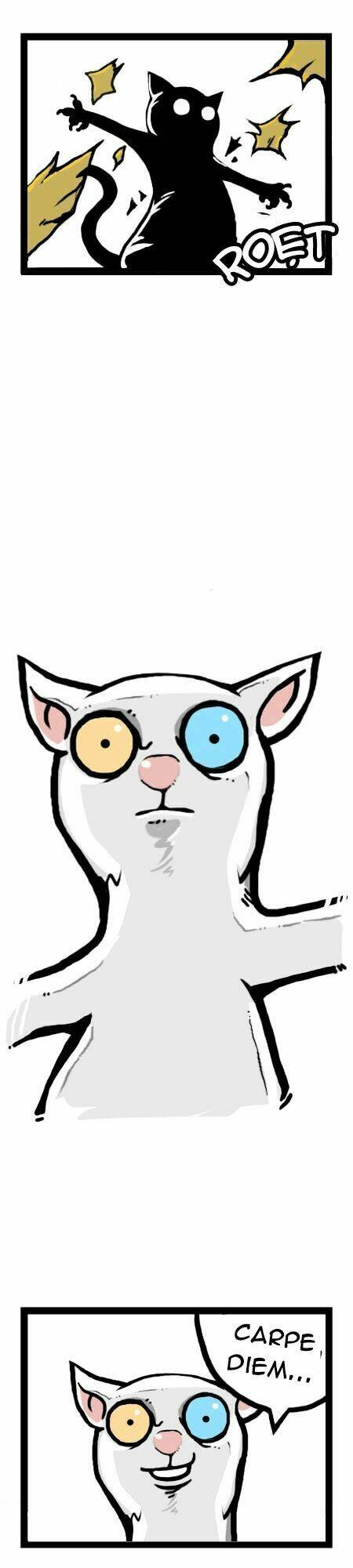 earth, human, and animal chapter 12 21