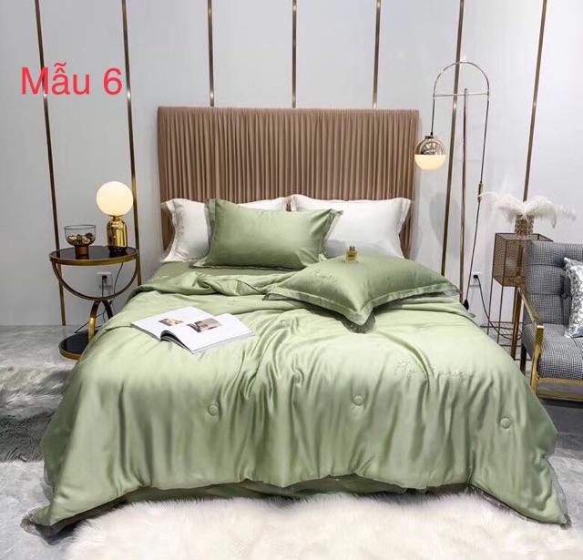 Bộ lụa thêu tencel 60S chăn trần FLY COUNTRY
