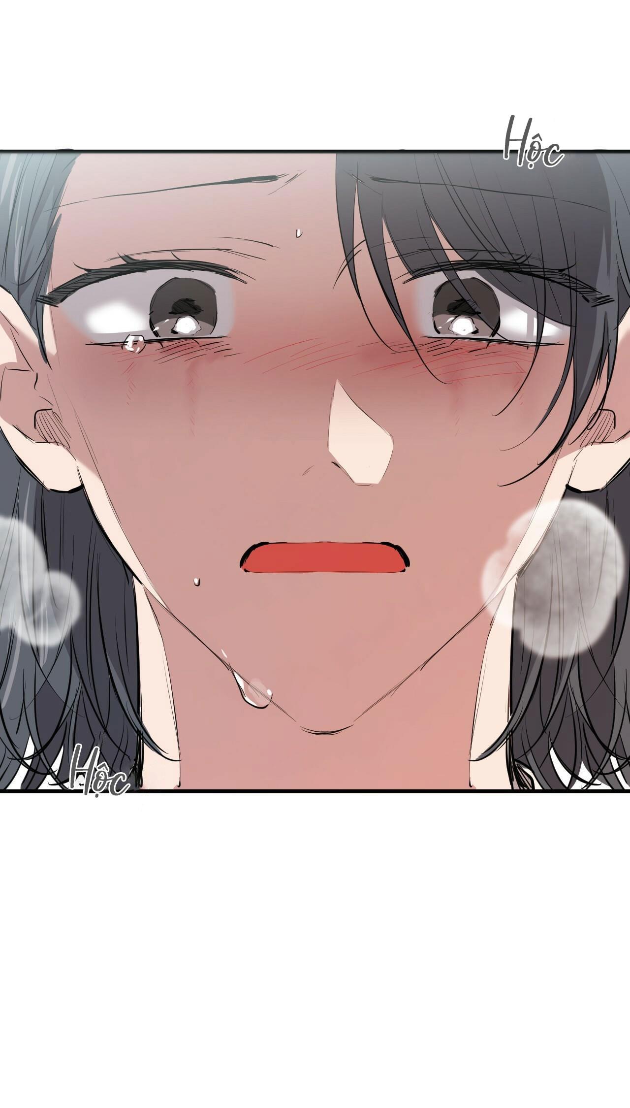 những chú thỏ của hapypy chapter 36 80