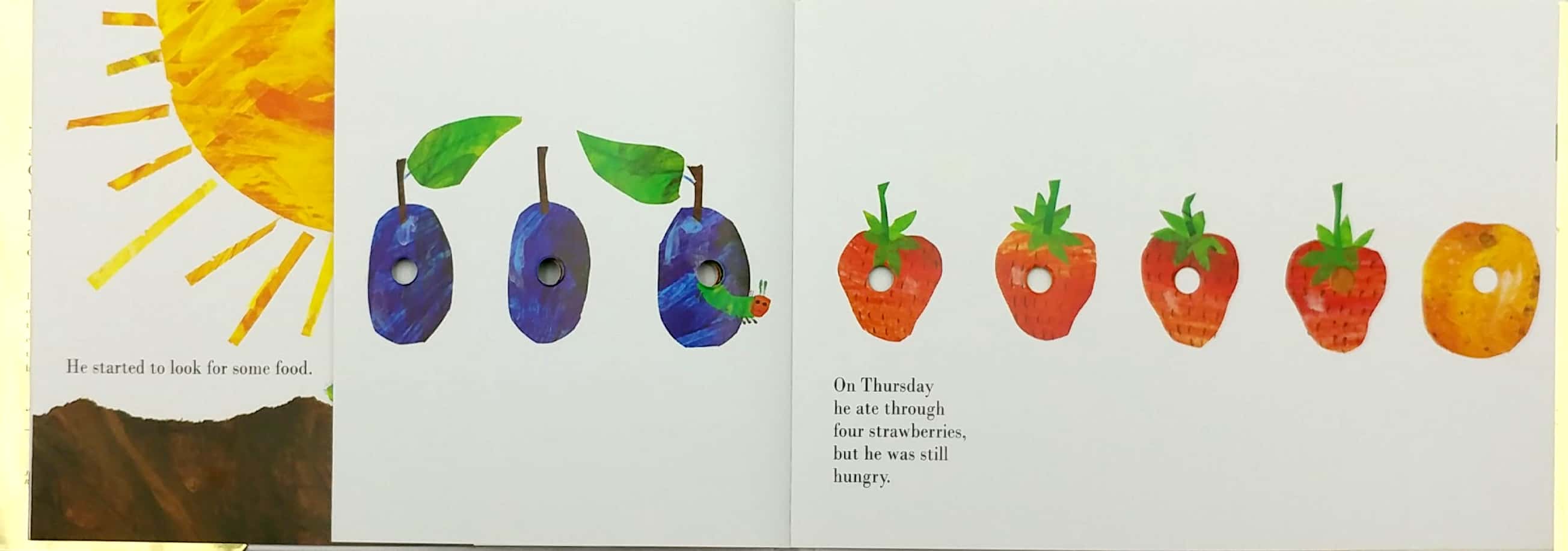 The Very Hungry Caterpillar 50th Anniversary Collector's Edition