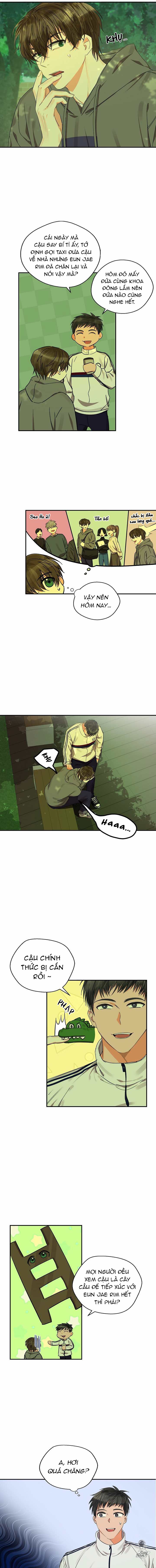 chanh đắng chapter 16 8