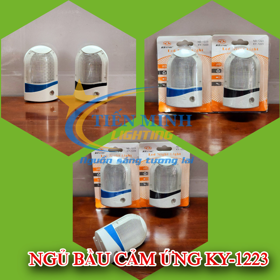 Đèn ngủ cảm ứng bầu KY-1223, chỉ cần cắm vào ổ điện, đèn sẽ tự động phát sáng khi trời tối và tắt khi trời sáng, chiếu sáng Led siêu bền