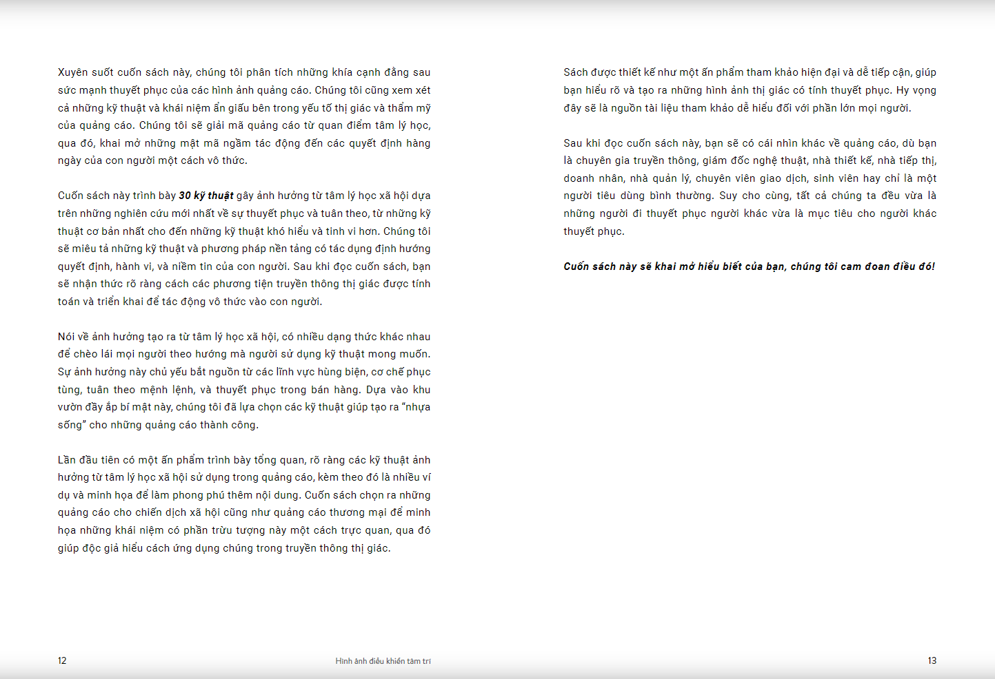 Sách RIO Book No.3 - Hình Ảnh Điều Khiển Tâm Trí - 30 Kỹ Thuật Điều Khiển Tâm Lý Trong Truyền Thông Thị Giác - ảnh 13