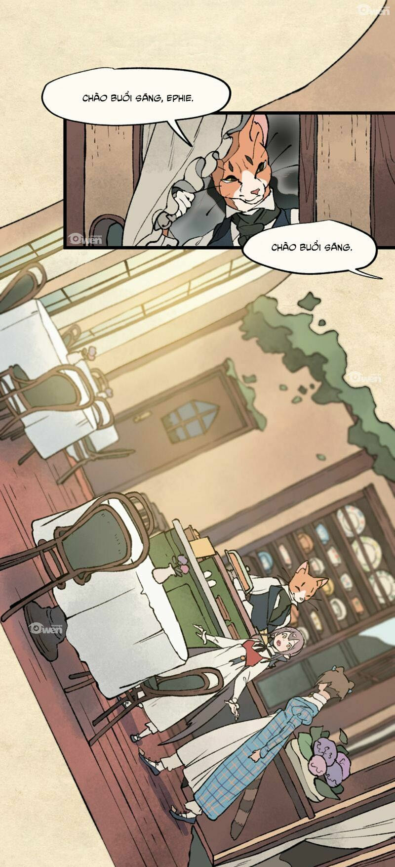 nơi mà ngôi sao băng rơi xuống, hãy đợi ở đó chapter 14 11