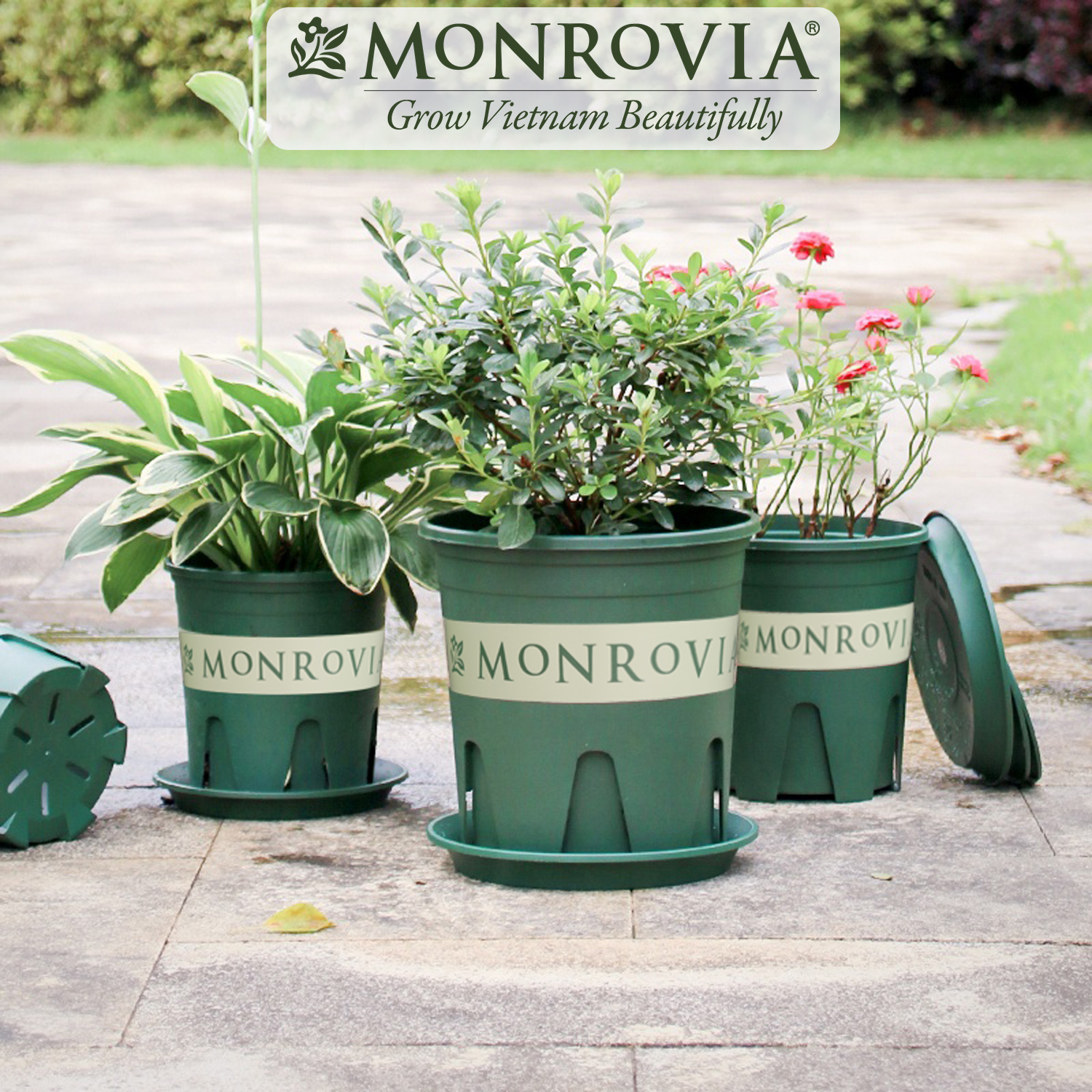 3 Đĩa lót chậu MONROVIA 6 Gallon, Dòng M-series, chậu nhựa trồng cây, chậu cây cảnh mini, để bàn, treo ban công, treo tường, cao cấp, chính hãng thương hiệu MONROVIA