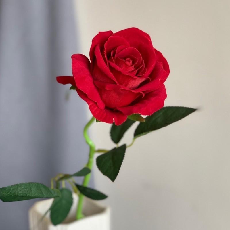 Hoa hồng nhung 1 bông đẹp kiêu kì/hoa giả