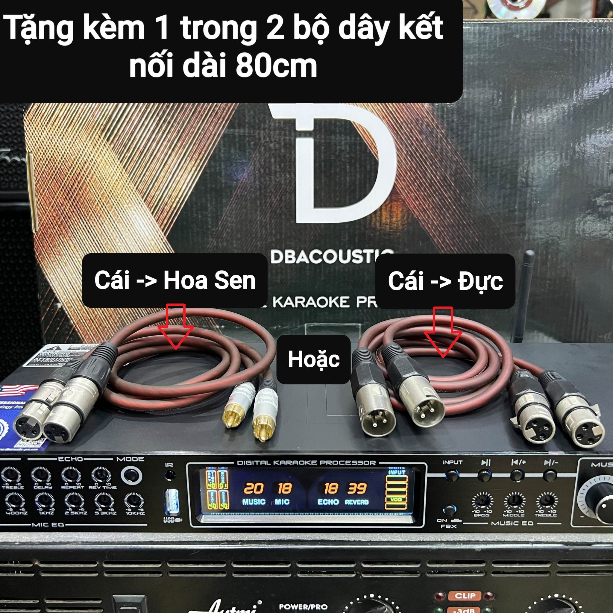 Vang cơ lai số DB Acoustic KM-350PRO: Tiếng hay, Chống hú tốt, Âm thanh sạch, sáng tiếng, Tặng kèm 2 dây Canon kết nối