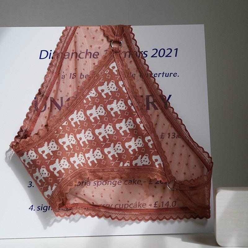 COMBO 5 QUẦN LÓT NỮ DỆT HÌNH GẤU 409