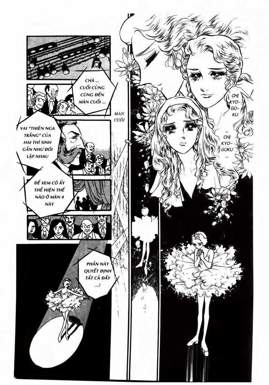 swan - vũ khúc thiên nga chapter 46 16