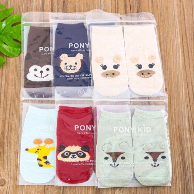 Combo 10 đôi tất Ponykid hàng xịn túi zip cho bé