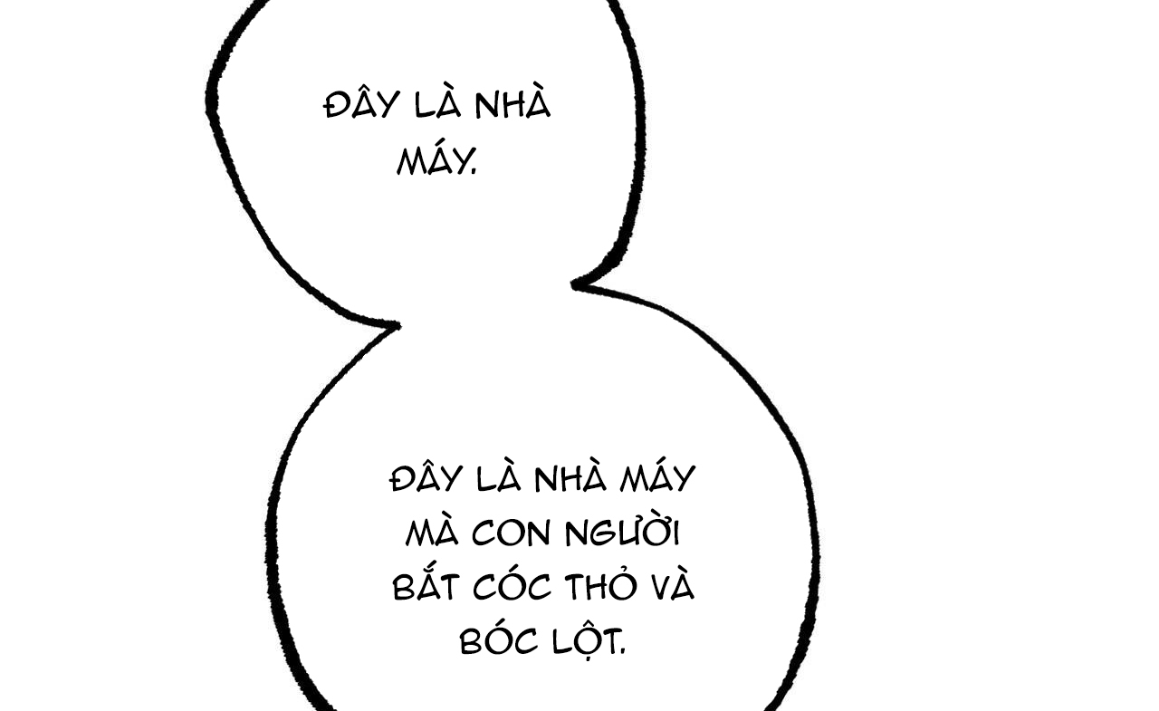 đàn thỏ của habibi chapter 46 58